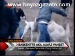 Başkent'te Akıl Almaz Vahşet