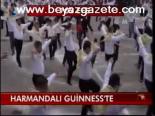 Harmandalı Guinness'te