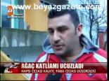 Ağaç Katliamı Ucuzladı