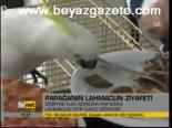 Papağanın Lahmacun Ziyareti