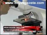 Organ Hasarını Engelliyor