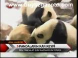 Pandaların Kar Keyfi
