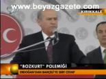 Bozkurt Polemiği