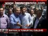 Baykal'a Yumurtalı Saldırı