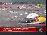 Tsunami Cehenneme Çevirdi