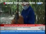 Houston Hayvanat Bahçesi'nin Maskotu