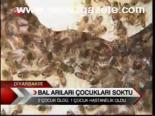 Bal Arıları Çocukları Soktu