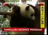 Pandalara Egzersiz Programı