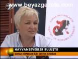 Hayvanseverler Buluştu