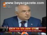 Çiçek'ten Bin Ladin Sitemi