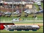 Atlar Çıldırmış Olamalı