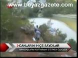 Canlarını Hiçe Saydılar