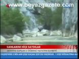 Canlarını Hiçe Saydılar