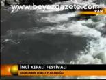 İnci Kefali Festivali