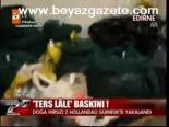 Ters Lale Baskını !
