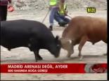 Madrid Arenası Değil, Ayder