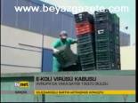 E-koli Virüsü Kabusu