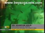 Dev Akvaryum Açıldı
