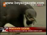 Penguenin Şaşkını