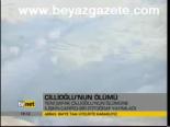 Çillioğlu'nun Ölümü