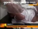Valizde Yeni Doğmuş Bebek