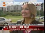 Meclis'te Arı Krizi