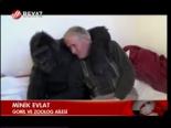 Goril Ve Zoolog Ailesi