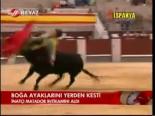 Boğa Ayaklarını Yerden Kesti