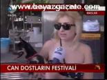 Can Dostların Festivali