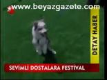 Sevimli Dostlara Festival