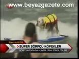 Süper Sörfçü Köpekler