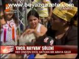 Evcil Hayvan Şöleni