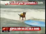Köpeklerin Dalgalarla Dansı