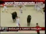 Boğalar 8 Turisti Yaraladı