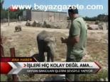 İşleri Hiç Kolay Değil Ama...