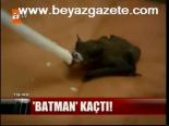 Batman Kaçtı!