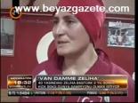 Van Damme Zeliha