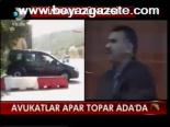 Avukatlar Apar Topar Ada'da