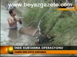 İnek Kurtarma Operasyonu