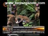 Hindistan'da Leopar Dehşeti