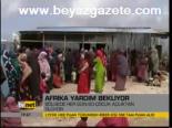 Afrika Açlıkla Savaşıyor