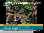 Köyde Leopar Paniği