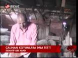 Çalınan Koyunlara Dna Testi