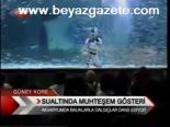 Sualtında Muhteşem Gösteri