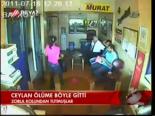 Ceylan Ölüme Böyle Gitti