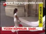 Prenses Kate'in Gelinliği