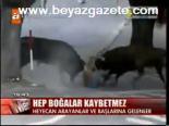 Hep Boğalar Kaybetmez