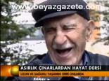 Asırlık Çınarlardan Hayat Dersi