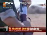 İş Adamına Domuz Kurşunu