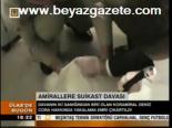 Amirallere Suikast Davası